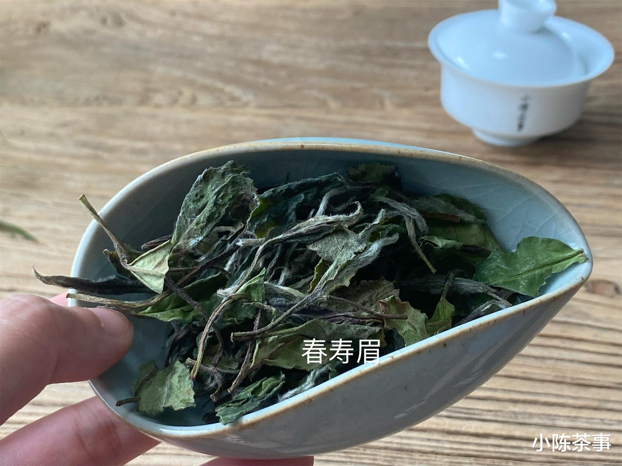 新白露茶与春寿眉的后期转化对比：哪种茶叶更能保持原有风味？