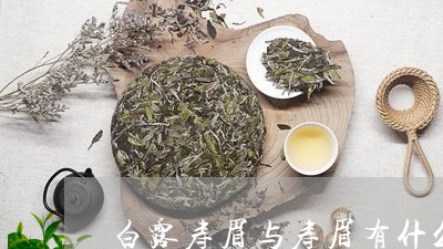 新白露茶与春寿眉的后期转化对比：哪种茶叶更能保持原有风味？