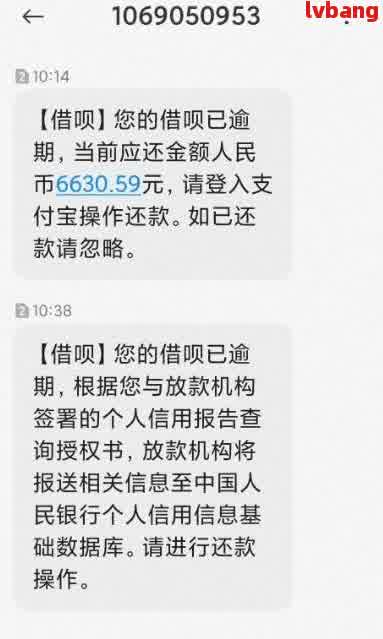 各种网贷逾期的经历分享