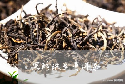 黑珍珠属于什么茶种：品种特性与种植方法全面解析