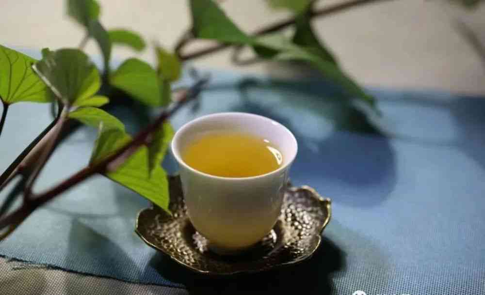 新 '普洱茶中的猫耳朵是什么品种？让我们一起探索'