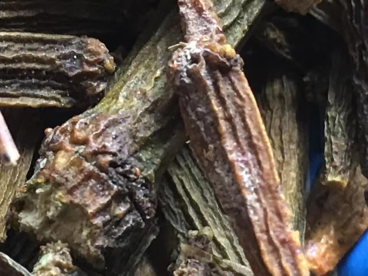 普洱茶适合和什么茶一起泡：探索普洱茶的完美搭配