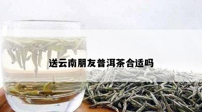 云南哪种茶叶适合送人