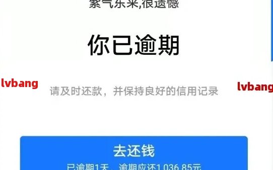 支付宝多次逾期有影响吗