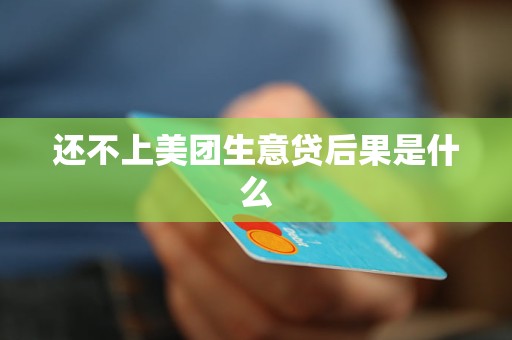 生意贷还不起会有什么后果