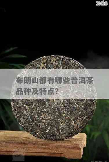 全面解析：如何辨别布朗山普洱茶的真伪，解决用户关于普洱茶真假的所有疑问