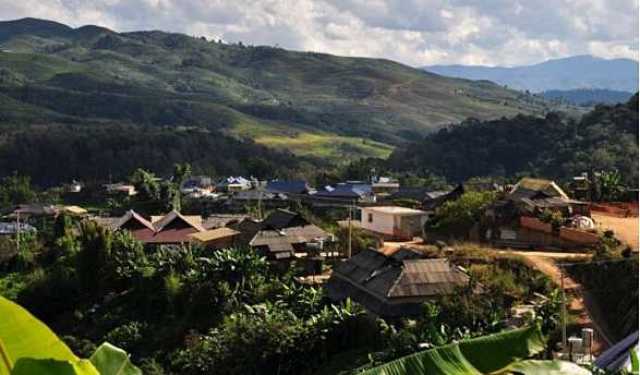 布朗山普洱茶名山寨：探索更优质的古茶园