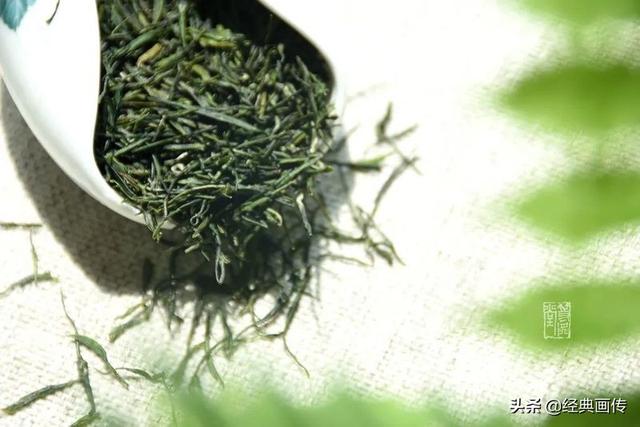 茶叶要冷冻还是冷藏好：碧罗春茶叶的存方法解析