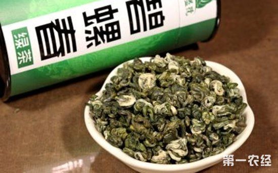 茶叶冷冻还是冷藏：保存碧罗春茶的方法