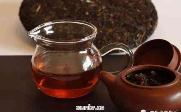 5克普洱茶适合泡多少水喝？泡一杯的正确方法和水量