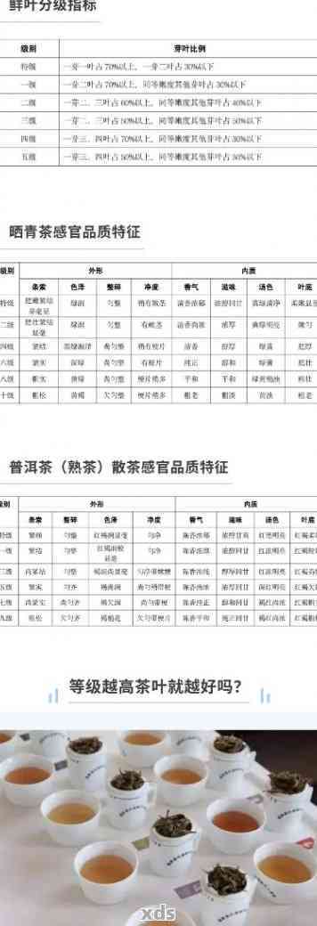 探究5克普洱茶中茶叶的含量与品质关系