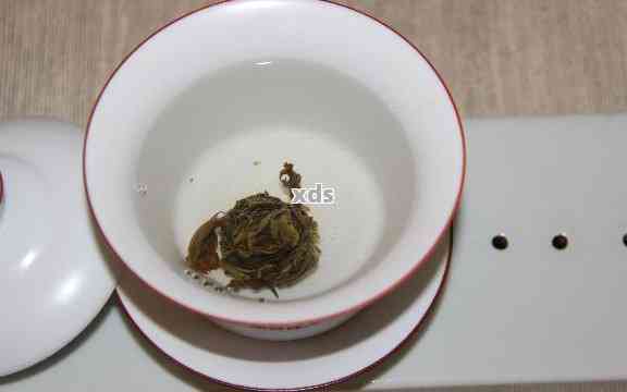 5克普洱茶配多少水