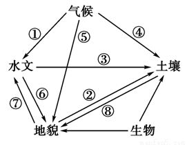 普洱茶的存之道：环境、时间与方式的关键要素