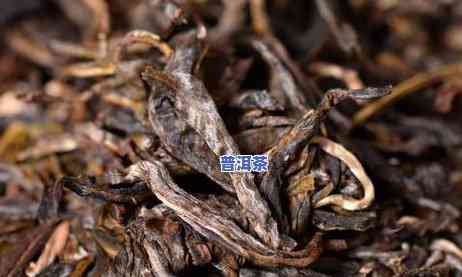 普洱茶生与熟区分：怎样区别普洱茶的生茶和熟茶？