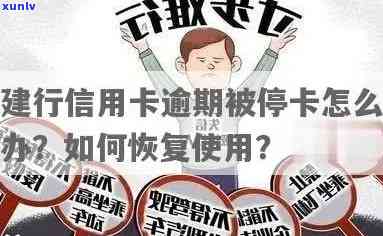 信用卡还不起可以叫停吗如何处理