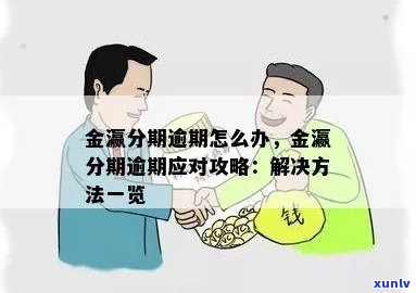 金瀛分期晚期限一天要求全款