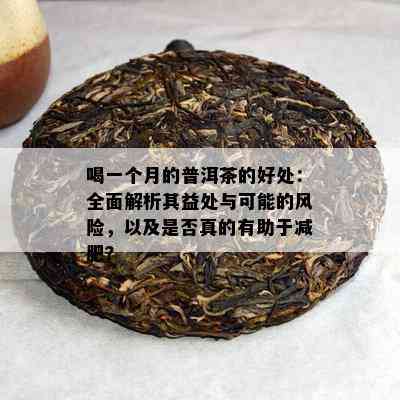 新 96橙中橙普洱茶：古树茶品，纯正口感，醇厚香气，健之选