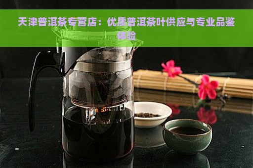 天津普洱茶哪家便宜好喝：寻找优质茶叶店铺与品味心得