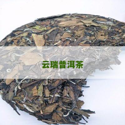 云润的普洱茶好吗