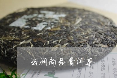 云润的普洱茶好吗