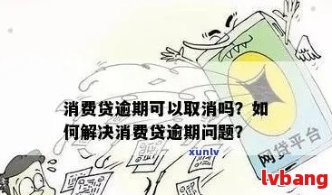 消费金融逾期后果及应对措