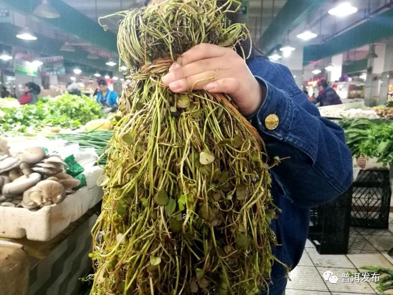 超市怎么选普洱茶饼