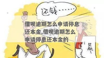 借呗可以只还本金吗不还罚息吗如何操作