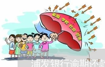 浦发银行广西流程解析