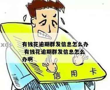 给你花逾期发短信怎么处理