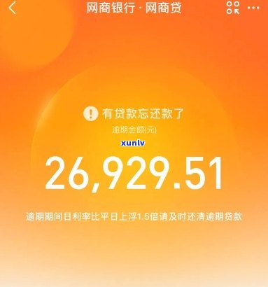 网商贷逾期2年2万怎么办