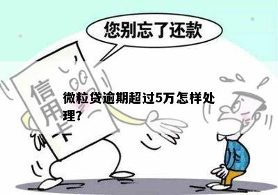 贷款逾期5万元两年怎么处理