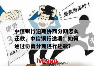 中信银行如何协商分期还款流程详解