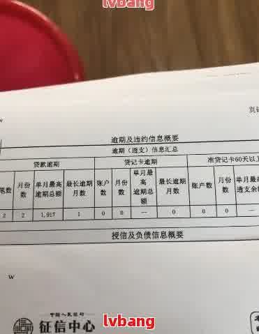 网贷长期逾期报告