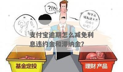 金钱宝逾期罚息减免