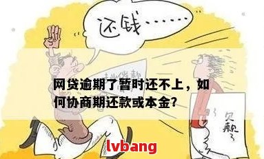 网贷逾期协商还本金攻略