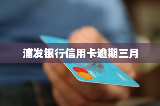 浦发信用卡逾期两个月利息该怎么计算