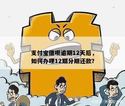 支付宝逾期后申请分期需要注意什么事项