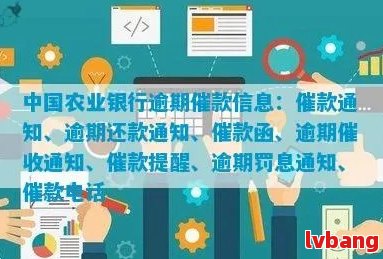 农业银行逾期发函件怎么处理