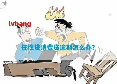 任性贷逾期要紧吗及应对措分享