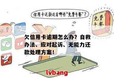 民法典欠信用卡无力偿还的具体规定是什么