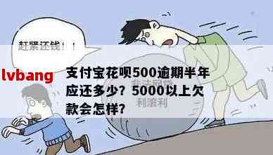 欠花呗5000元逾期一年如何处理