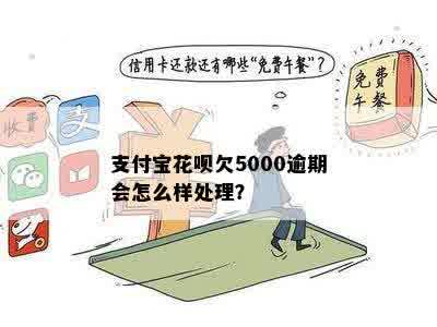 欠花呗5000元逾期一年如何处理