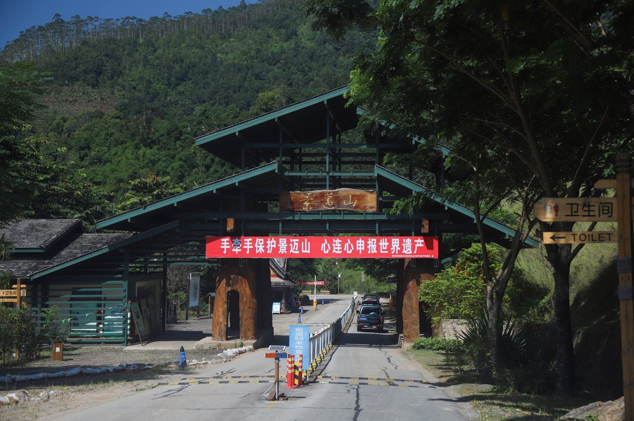 '澜沧县普洱茶：特点名山头、及物流配送模式'