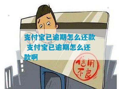 支付宝有11次逾期怎么办还款方法