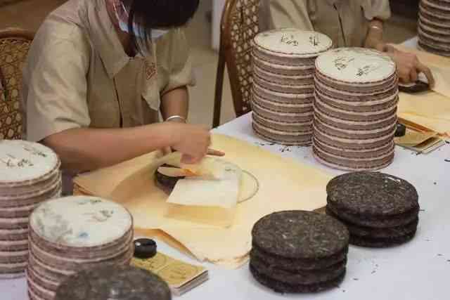 从入门到精通：普洱茶纸折叠技巧详解，让你轻松掌握茶艺之美