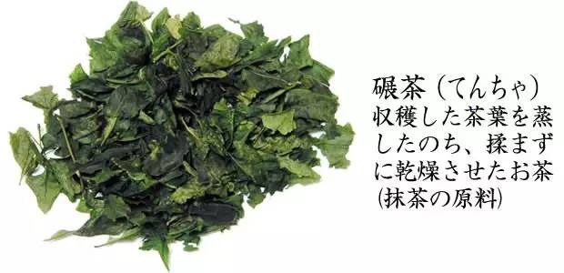 抹茶用什么茶叶做的