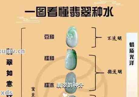 翡翠什么种水不会变种子-翡翠什么种水不会变种子呢