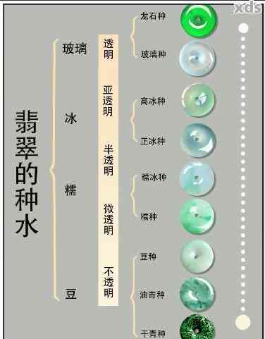 翡翠种水好的选择和养护建议，值得收藏的翡翠品种有哪些？