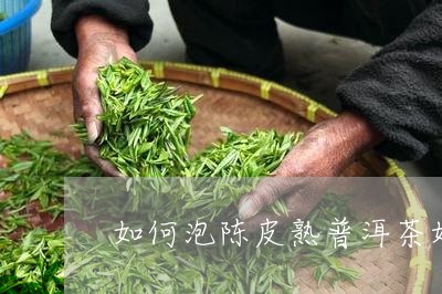 陈皮普洱茶能闷泡吗