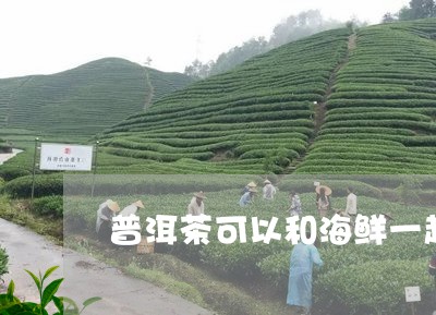 海与普洱茶：一起饮用的影响及注意事项，你了解吗？